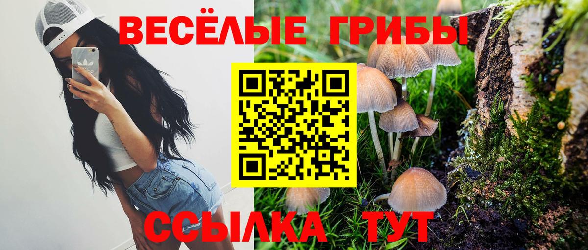 Галлюциногенные грибы GOLDEN TEACHER  Вход с VPN  Кулебаки  Галлюциногенные грибы мухоморы 